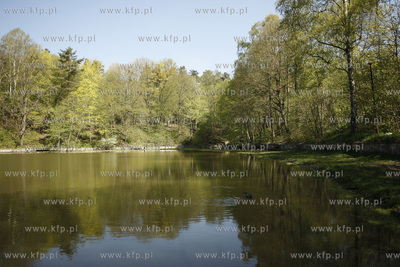 Sopockie Morskie Oko czyli Staw Nowowiejskiego malowniczy...