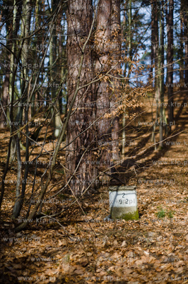 Gdansk. Oliwa, Trojmiejski Park Krajobrazowy. Sciezka...