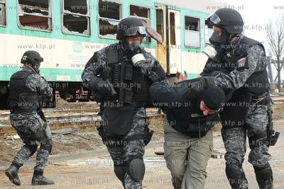 Wspolne cwiczenia antyterorystow, policji, strazy granicznej...