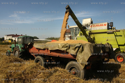 Chwaszczyno. Pierwszy tydzien zniw.  07.08.2009  fot....