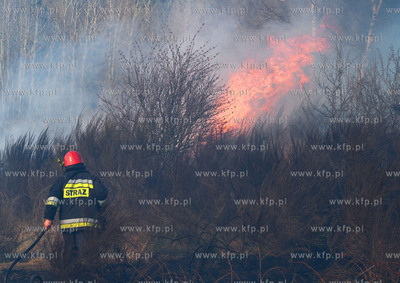 Gdansk. Groznego pozaru na terenie bylego poligonu...