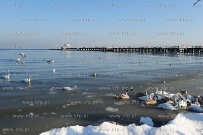 Sopot. Mrozna niedziela na plazy i molo w Sopocie....