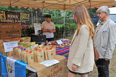 Sopot. Park Herbstow k. Urzedu Miasta, ul. T. Kosciuszki....
