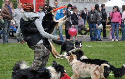 Festyn Osiedlowy w ramach Dni Sasiadow na terenie Gimnazjum...