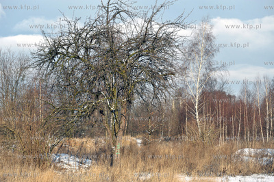 Gdansk Nowy Port. Tereny Szanca Zachodniego pomiedzy...