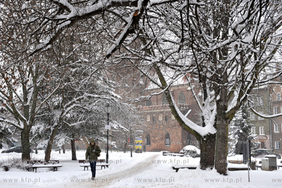 Gdansk zima. Park Swietopelka na ul. Szerokiej. 21.01.2016...