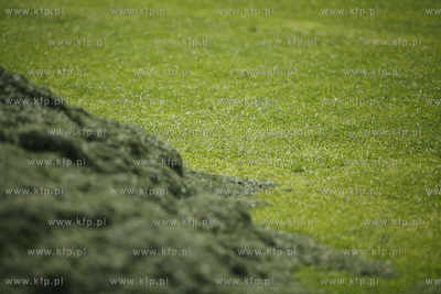 Gdansk. Budowa stadionu PGE Arena Gdansk. Obiekt ten...
