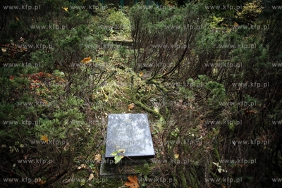 Sopot. Cmentarz Zolnierzy Radzieckich.
24.10.2012
fot....