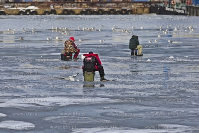 Wędkarze łowią ryby na zamrzniętej Martwej Wiśle...