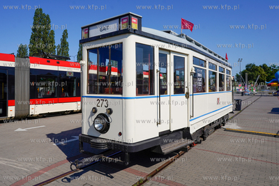 AmberExpo. Piknik rodzinny z okazji 150-lecia gdańskich...