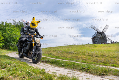 Wiatrak koźlak w Ręboszewie na górze Sobótka. 01.07.2023...