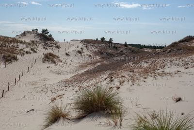 Wydma Czołpińska. 19.07.2019 / fot. Anna Rezulak