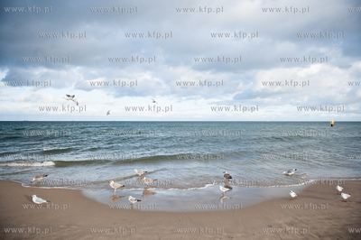 Plaza na granicy Gdanska i Sopotu w zimowe sloneczne...