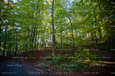 Gdansk. Sloneczne jesienne popoludnie w Parku Orunskim.
17.10.2012
fot....
