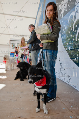 Sopocki Rynek Artystyczny i Ludowy Sopotello. Psia...