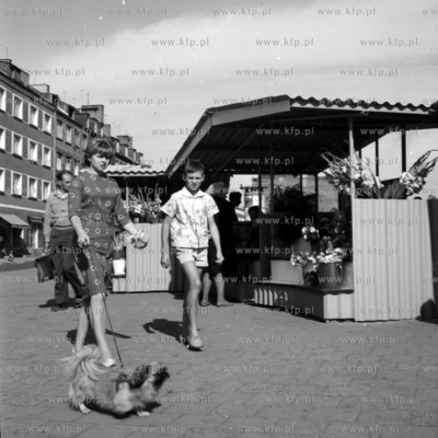 Stragany z kwiatami na placu przed Hala Targową przy...