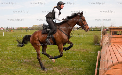 Drugi dzien Wszechstronnego Konkursu Konia Wierzchowego...
