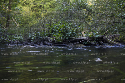 Babi Dol. Jar Raduni. 21.09.2014 fot. Pawel Marcinko...