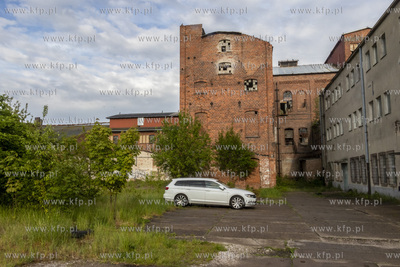 Botaniczny Pruszcz. Spacer badawczy śladem roślin...