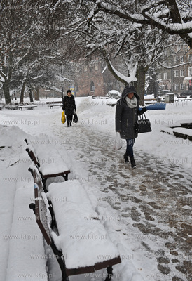 Gdansk zima. Park Swietopelka na ul. Szerokiej. 21.01.2016...