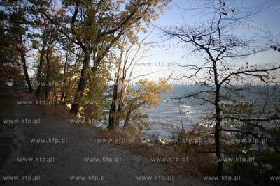 Gdynia Orlowo.
25.11.2011
fot. Krzysztof Mystkowski...