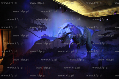 Londyn. Muzeum Historii Naturalnej.
07.10.2011
fot....