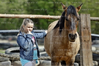 Gdynia Kolibki. Adventure Park. Majowka Pracodawcow...