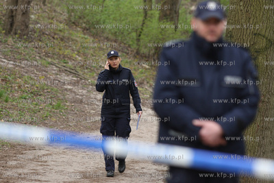Gdańsk Brzeźno. W parku, niedaleko wejścia na plażę,...