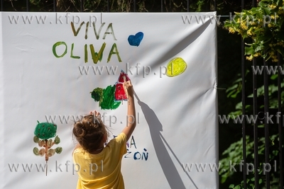 Święto Oliwy Viva Oliva! 15.06.2019 / fot. Anna Rezulak...