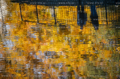 Gdansk. Jesienne, sloneczne przedpoludnie w Parku Orunskim.
27.10.2015
fot....