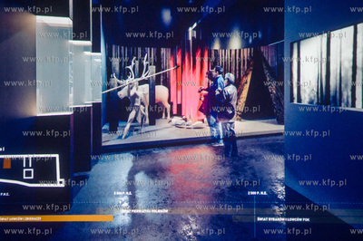 Muzeum Archeologiczne w Gdańsku. Konferencja prasowa...