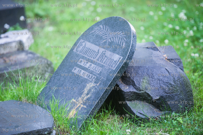 Gdańsk. Lapidarium w parku Akademickim. 17.07.2017...