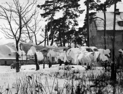 Gdansk Stogi ul. Jodlowa. 12.1957 odbitka_02_60 Fot....