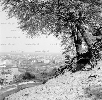 Panorama Gdyni. 19.05.1973 5maj73_z.kosycarz_p49 Fot....
