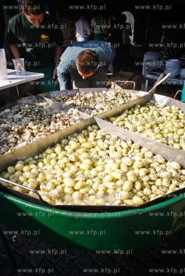 Targ Weglowy w Gdansku - VIII Gdanskie Swieto Pieroga.
27.09.2009
Fot....