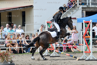 Stadnina koni MORINA w Redzie/Wejherowa. Towarzyskie...