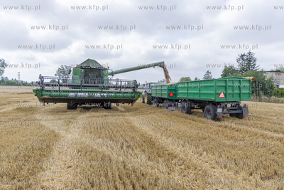 Żniwa we wsi Lignowy w powiecie Tczewskim na Kociewiu.
30.07.2019...