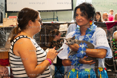 Międzynarodowa wystawa kotów rasowych "Koty na Hawajach"...