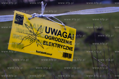 Dobrzewino, wieś na Kaszubach w powiecie wejherowskim....