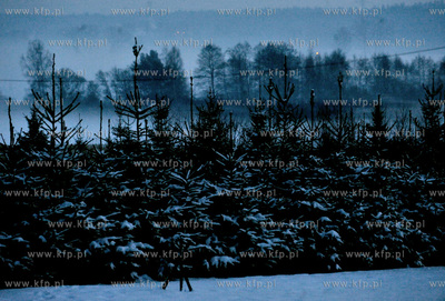 Zimowy wieczor w Sulminie na Kaszubach.
03.01.2010
fot....