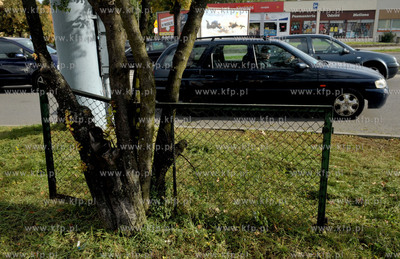 Gdansk Zabianka ul. Gospody. Wrosniety w drzewo fragment...