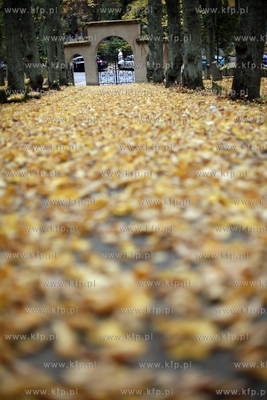 Sopot. Zydowski cmentarz.
24.10.2012
fot. Krzysztof...