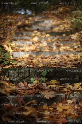 Schody, ktore zostały zbudowane z kamiennych plyt...