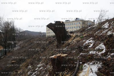 Wycinka drzew pod budowe trasy Pomorskiej Kolei Metropolitalnej...