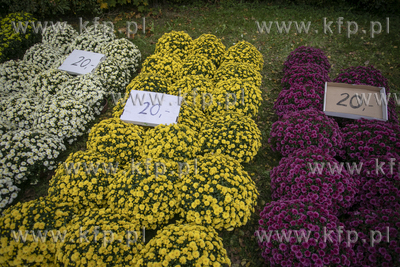 Stoiska ze zniczami kwiatami przed cmentarzem Srebrzysko...