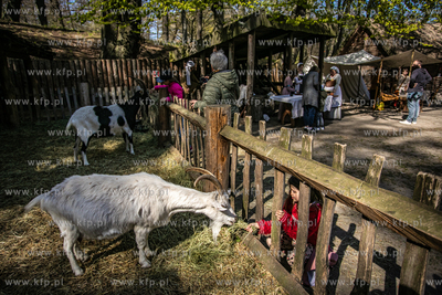 Sopocka Majówka w Grodzisku.
02.05.2022
fot. Krzysztof...