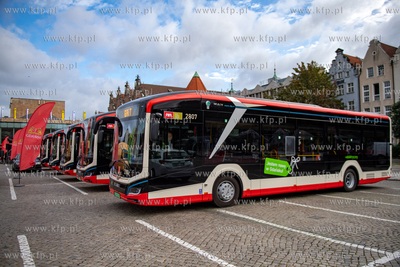 Targ Węglowy w Gdańsku. Piknik rodzinny podczas którego...