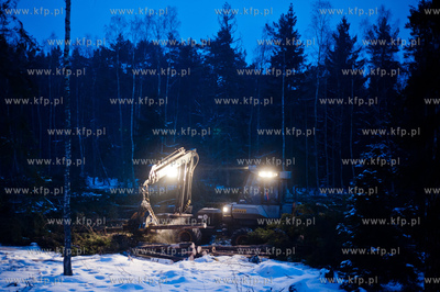 Gdansk. Rebiechowo. Nocna wycinka drzew pod budowe...
