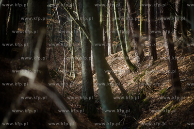 Gdansk. Oliwa, Trojmiejski Park Krajobrazowy. Sciezka...