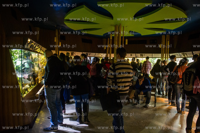 Akwarium Gdynskie. Tydzien Rekina oraz Dni Otwarte...